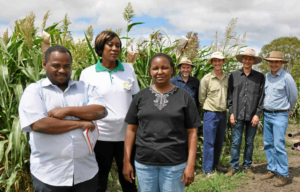 FINDING AN ANSWER: Mohammed Yousif Balla Abdalla, Clarisse Barro-Kondombo and Rachel Kamene Kisulu with Hermitage scientists Simon Hamlet, Alan Cruickshank, Andrew Borrell and David Jordan. FINDING AN ANSWER: Mohammed Yousif Balla Abdalla, Clarisse Barro-Kondombo and Rachel Kamene Kisulu with Hermitage scientists Simon Hamlet, Alan Cruickshank, Andrew Borrell and David Jordan.
